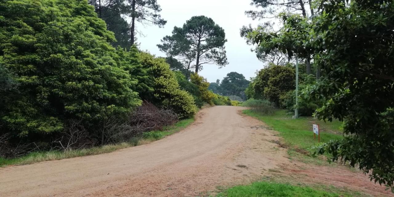 Las Chozas Punta del Este Værelse billede